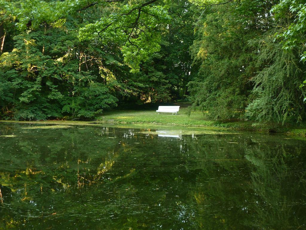 Chateau De Vesset Treteau ภายนอก รูปภาพ